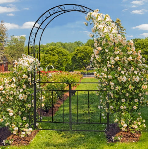 Iron Garden Trellis Arch with  Gates – Sturdy Black Iron Trellis for Climbing Plants & Events